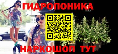 эйфоретик Малгобек